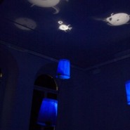 Waterbugs (Installation)
